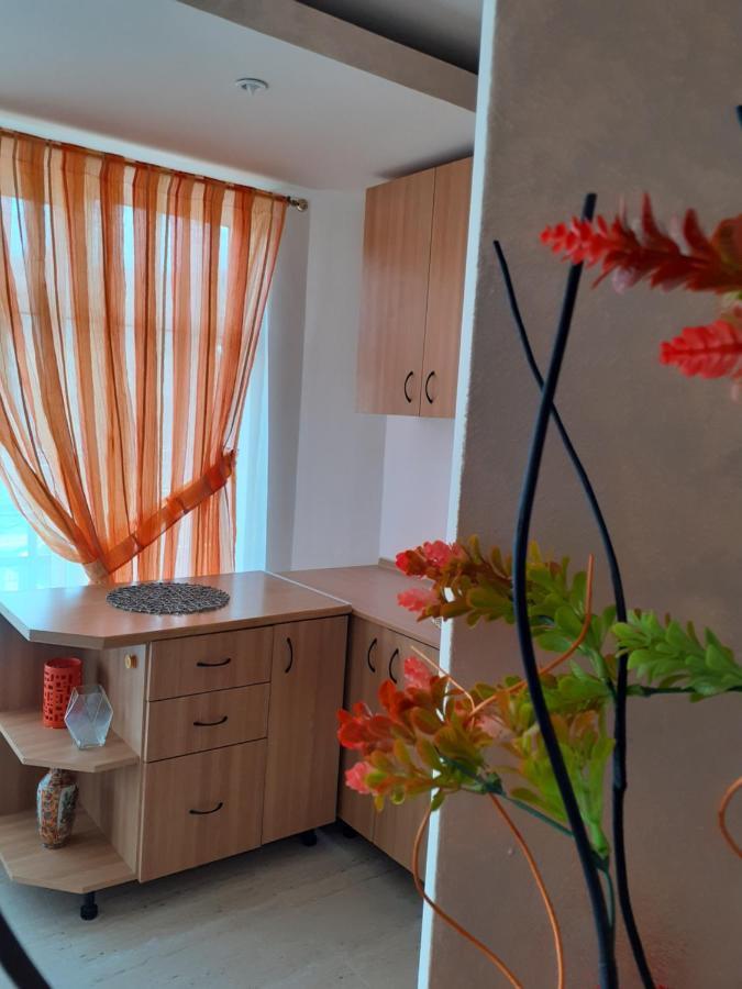 Guest house Pensiunea Rominvest Borsa (Maramures)