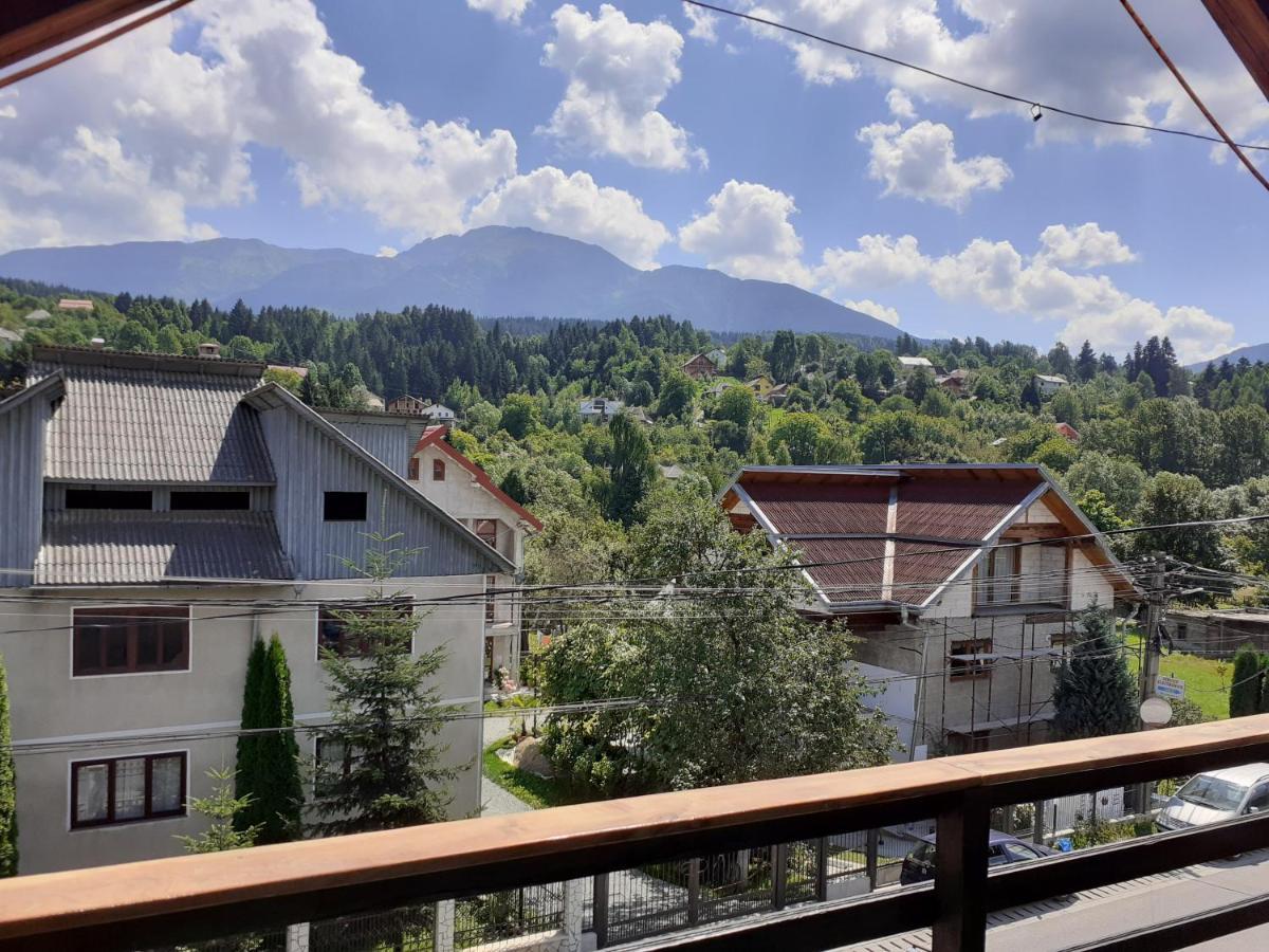 Pensiunea Rominvest Guest house