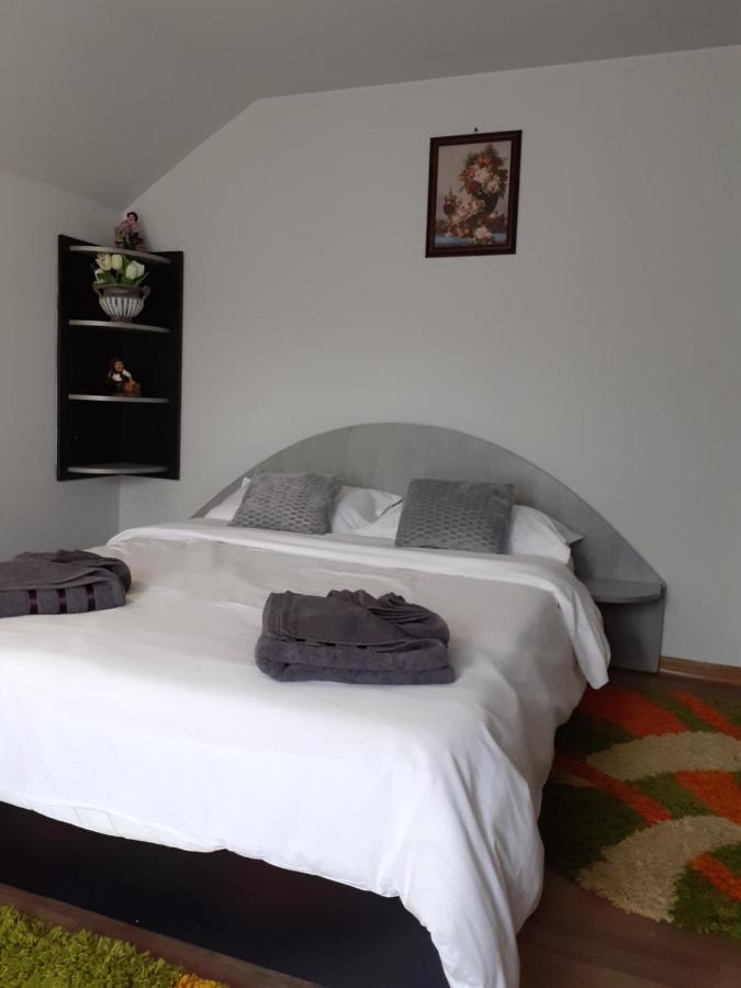 Guest house Pensiunea Rominvest *