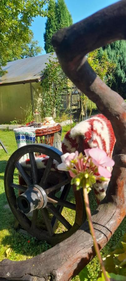 Guest house Pensiunea Rominvest